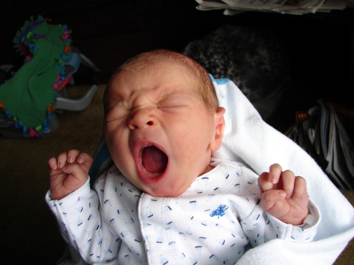 FUnny Baby Yawning, seo, dota, adsense, map, v6.44
