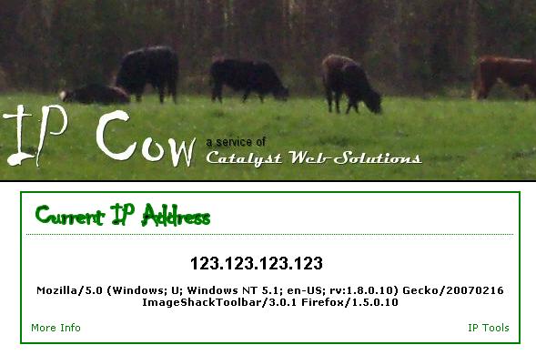 Cow, weird site, ipcow, funny, dota, seo