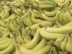 msn, encarta, banana, fruit