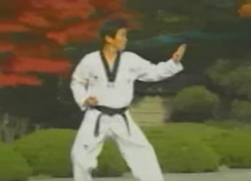 taekwondo-poomse-wtf-tkd