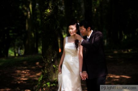 wedding, mei peng, meng chun, robin ng, wedding photographer, malaysia, pjlighthouse, petaling jaya, freelance, May 2008