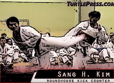 taekwondo-sparring-roundhouse-kick-counter-turtlepress-tkd