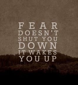 fear-quotes-seo-dota-weekly-inspirational