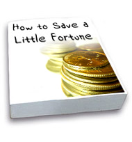 Free e-book, Meshio.com, How to Save a Little Fortune, Freebies: How to Save a Little Fortune from meshio.com