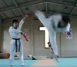 Taekwondo-540-High-Kick