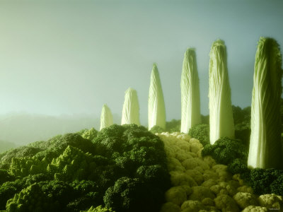 Art-Landscape-Made-of-Green-Cabbage-Vegetables-Hartmut-Seehuber  Art, Amazing, Landscape, Photo , Vegetable , Hartmut Seehuber, Creative, Cheese, Art photography, Carrot, Brocolli, Pepper
