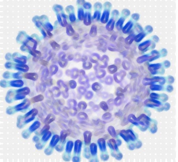Viral-h1n1-flu-virus-health