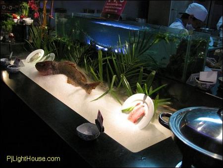 Tenji Japanese Food, Personal, Food, Eat Out,Alyson Birthday, Promotion, News, Food, Restaurant, Japan, Special Promotion,Tenji Japanese Restaurant, Japanese Buffet