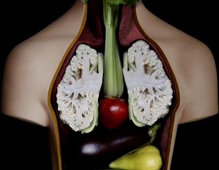body-organs-creative-vege-art
