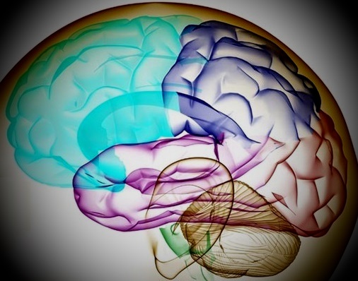 increase-memory-brain-teaching