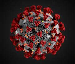 coronaVirus, covid-19-virus-facts-red-tvirus,wuha-virus-2019