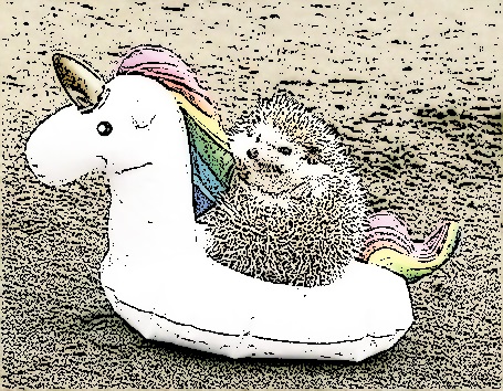 error-404-page-not-found-lol-unicorn-hedgehog