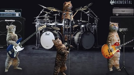 Cats-Band-Take-My-Breath-Away-MetalCover-Biomortal-crazy-funny-lol